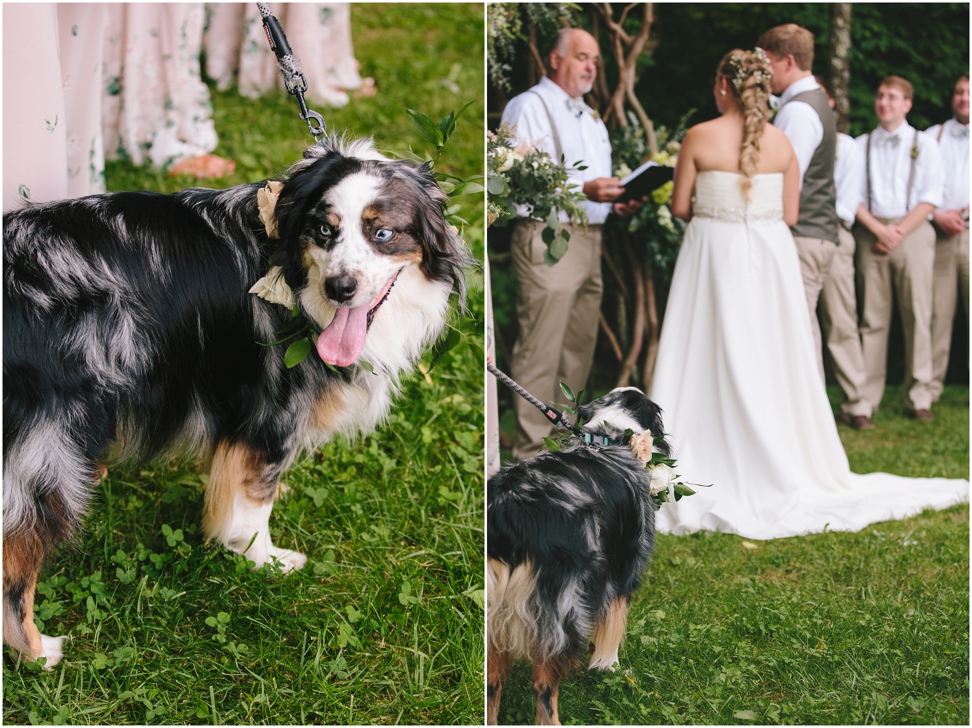 5 Tips For Including Your Dog In Your Wedding | Two Chics Photography | www.twochicsphotography.com